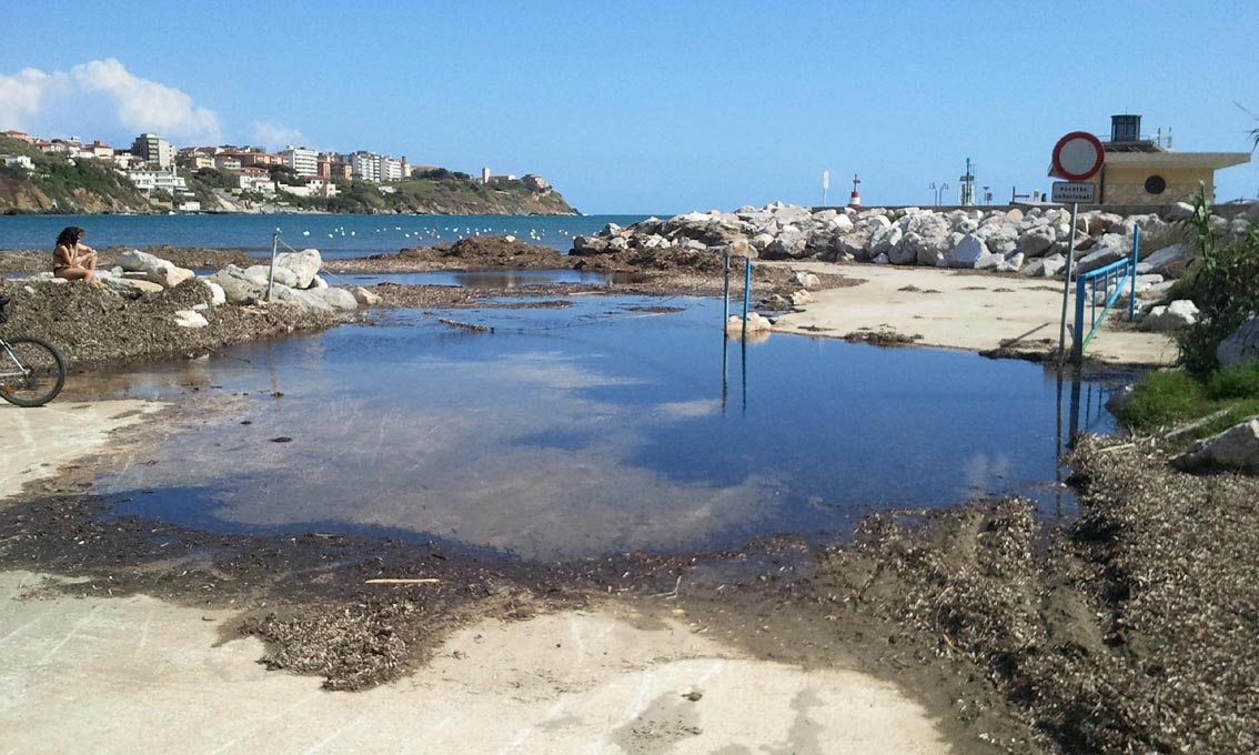 Rio Salivoli (Piombino) - rospi smeraldini in citt!